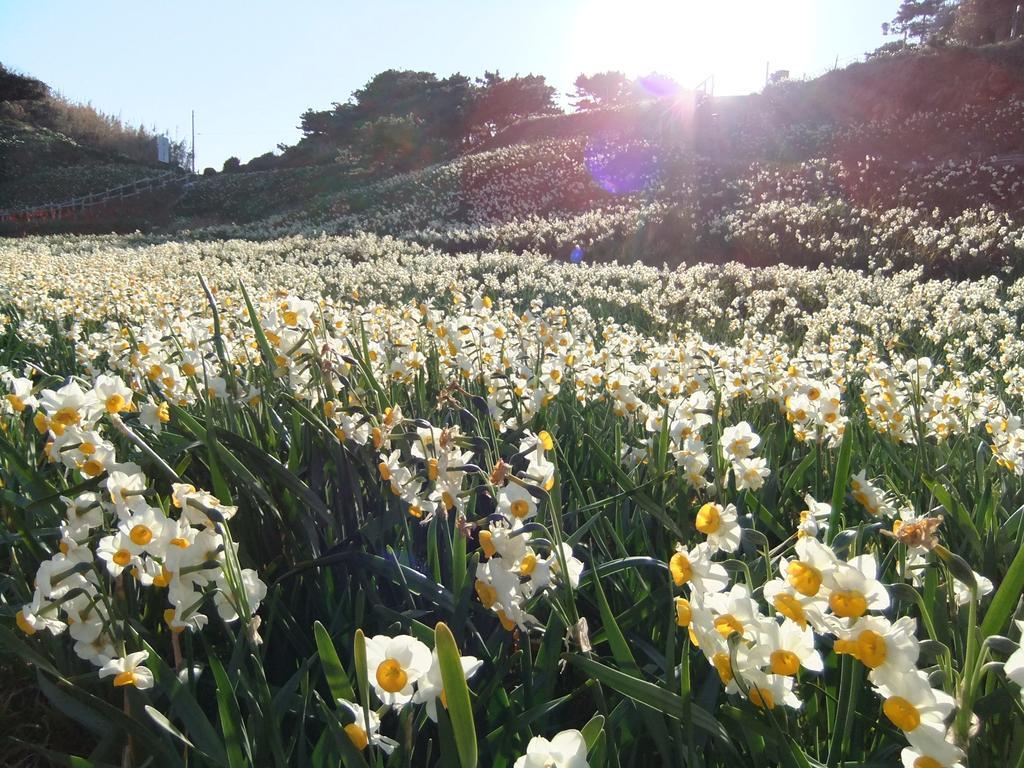 Shimoda Yamatokan Exterior foto